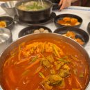 오로지생태한마리 이미지