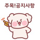 씻고놀개 이미지