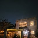 개땡큐 | 겨울여행 안동카페 땡큐커피 후기｜분위기에 취하고 귀여움에 반하다 ☕🐕🐈