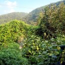 준기농장 이미지