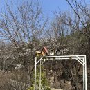 그린스톤캠핑장 | [경북/문경] 요토플러스 그린스톤 오토캠핑장 N사이트 방문기