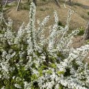 이마트24 향동프라임점 이미지