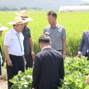 영농조합법인 대청 이미지