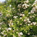 중앙메디칼보청기 이미지