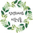 페르마타풀빌라 이미지