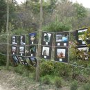 철원목장 이미지