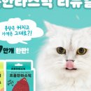 담은제주농업회사법인주식회사 이미지