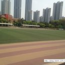 동탄센트럴파크 풋살구장 네이버블로그