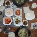 생활약선요기 이미지