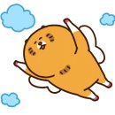 비토 노을숲 글램핑 이미지