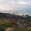 운석목장 이미지