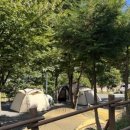 사과향기 캠핑장 이미지