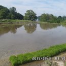 제내2리 이미지