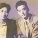 김수영을위하여 이미지