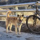 달아실 농원 이미지