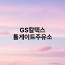 지에스칼텍스톨게이트주유소 티스토리