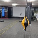 아세아 복싱 다이어트 클럽 이미지