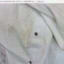엑슬루세탁소 이미지