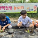 대구 동곡초등 대구일보
