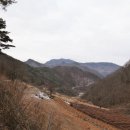 소백산자락길 제5코스 Daum카페