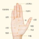 살롱 드 네일(SALON DE NAIL) 이미지