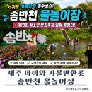 4721 | 제주 솜반천 물놀이장 운영기간·주차, 청소년 문화축제 총정리