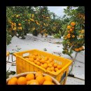 다미농장 이미지