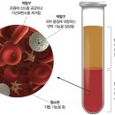 잠실미소약국 이미지
