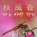 오룡골 이미지