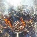 강릉별이빛나는밤에펜션 이미지