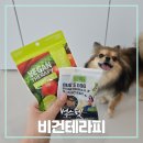 펫테리 | 리온이 벅스펫 비건테라피 야채후레이크 먹었어요