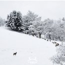 용연목장 이미지