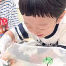 필즈수학과학학원 | 유아사고력수학 과학학원 와이키즈 관찰수업 후기