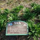 옥마산등산로 이미지