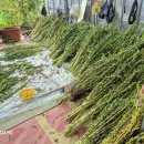 유림마을 경로당 이미지