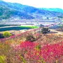 대소 마을회관 이미지