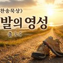 영성 티스토리