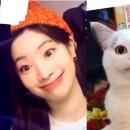 예술 영화 감상 이미지