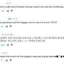 이례 이미지