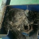 편안한 자리