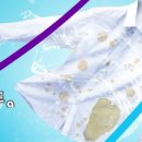 씨앤에프(CNF) 네이버블로그