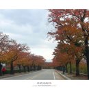 교2동-4 이미지