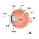 아이데코안경콘택트 이미지