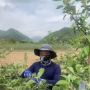 흥이많은농부 이미지