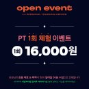 리온피티 이미지
