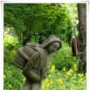 고운나라 이미지