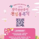 천일홍축제 이미지