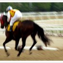 경마장가는길 이미지