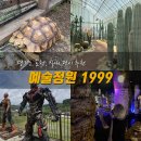 예술 | [서울근교드라이브]포천 예술정원 1999 후기, 실내 자연예술공간🌵