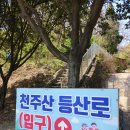 천주산 등산 도로변 이미지